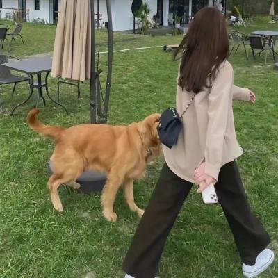 挖那只狗